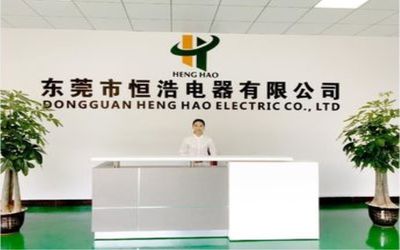 中国 Dongguan Heng Hao Electric Co., Ltd